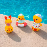 3 canards au bord de l'eau