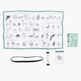 Qui suis-je des animaux