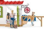 Clinique vétérinaire - 42502
