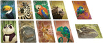 Similo - Animaux sauvages