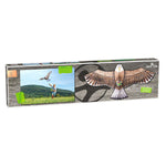 Haba - Terra Kids - Cerf-volant aigle