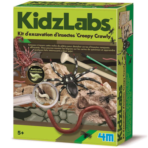 Kit excavation insectes