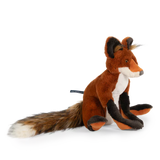 Renard - Tout autour du monde