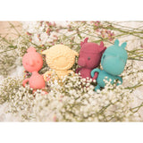 Marius hochet multisensoreil Eco