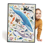 Animaux de l'Océan - Puzzlove 200pcs