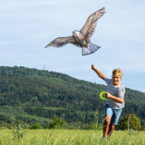 Terra Kids - Cerf-volant aigle