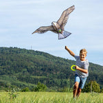 Haba - Terra Kids - Cerf-volant aigle