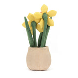 Amuseable Daffodil Pot - Jonquilles