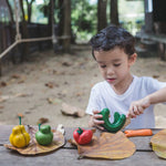 Plan Toys - Fruits & légumes tordus