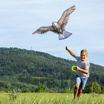 Haba - Terra Kids - Cerf-volant aigle